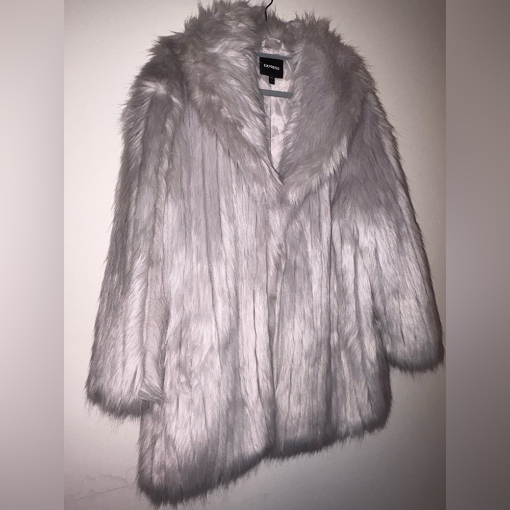 Express Faux Fur Coat in Silvery Gray NwOT